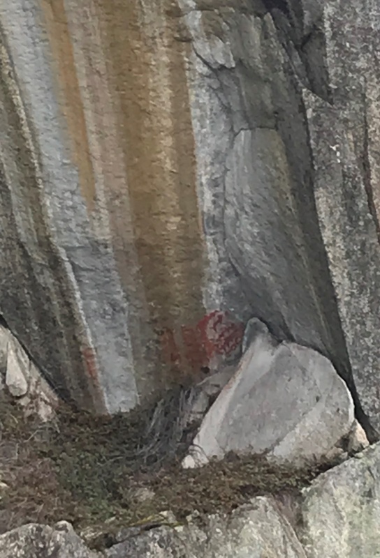 D4-33 Petroglyphs Closeup