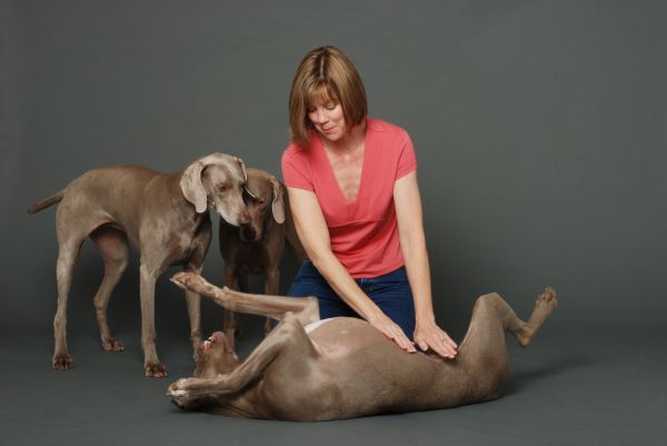 Dana, Koko, Lulu, Yogi