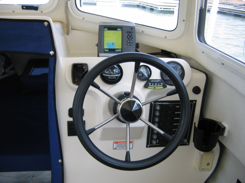 Dash view