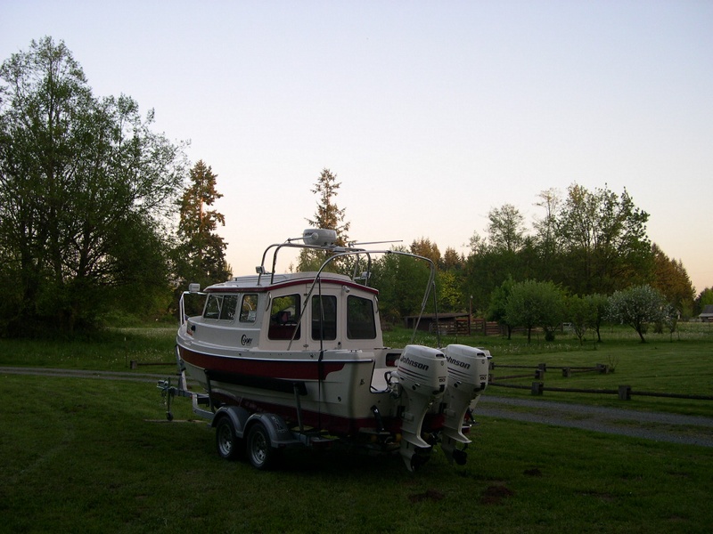(DaveS) Sea Shift with her Johnsons, grazing in the pasture where the cows used to be.  (Wife said, "get rid of the cows" several years ago, so we had to have something out there to munch on the grass...tee hee).  (4/26/04).