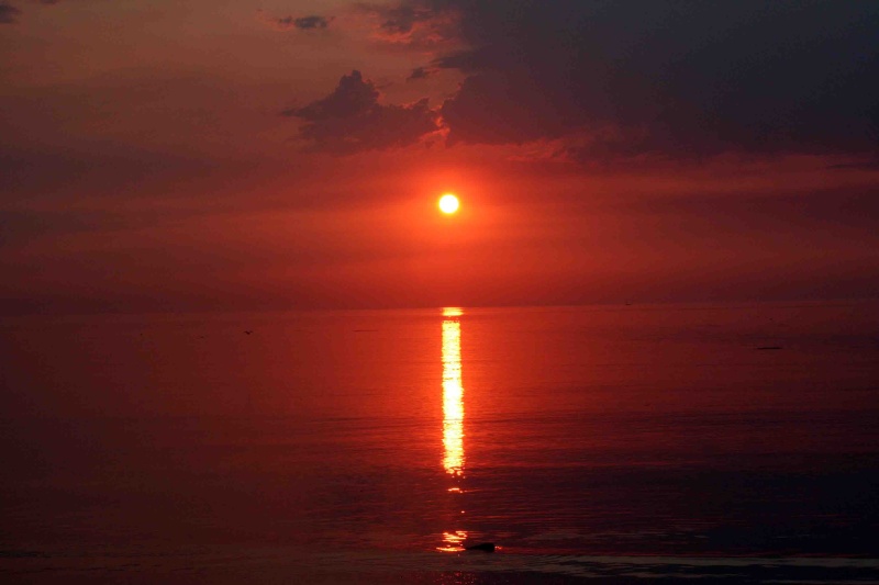 Dawn