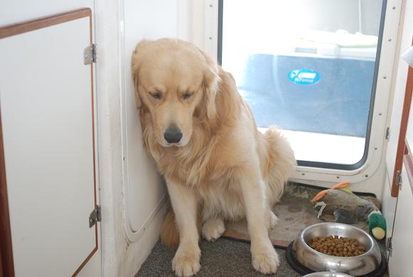 Dawson really wants this day to end  185nm to Shearwater B.C.
