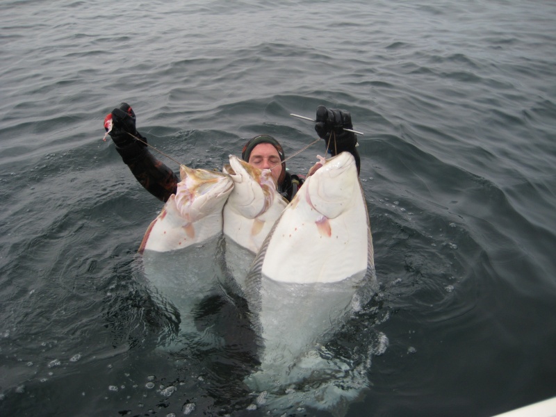 Day Limit of halibut - 10 mins to collect all of them off the bottom life is easy but you need to find them :)