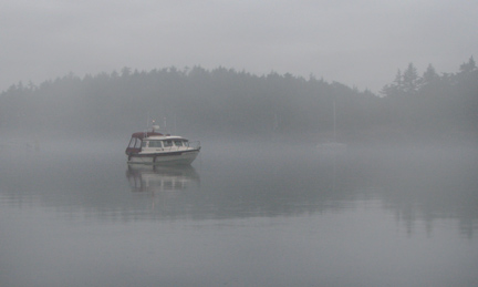 Daydream in the fog