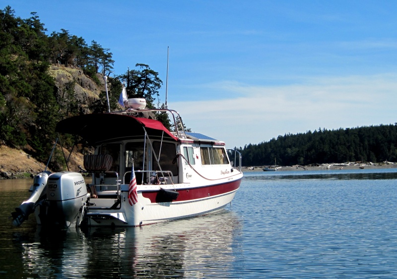 Daydream - Tomobo Cove in Background 6-13-16