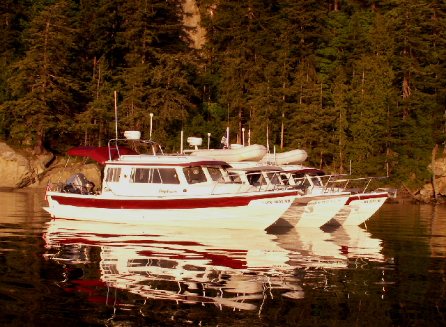 Daydream, Traveler and Anna Leigh at Chuckanut Bay 5-24-09