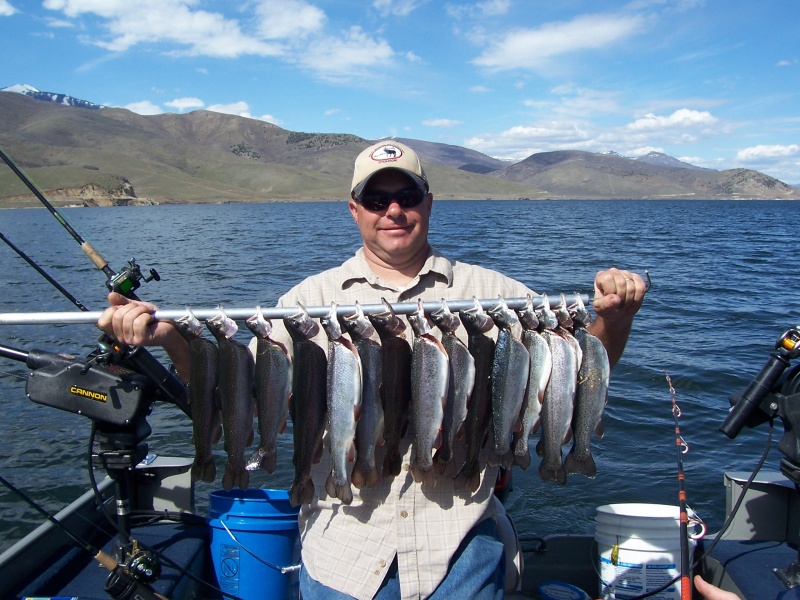 Deer Creek trout
