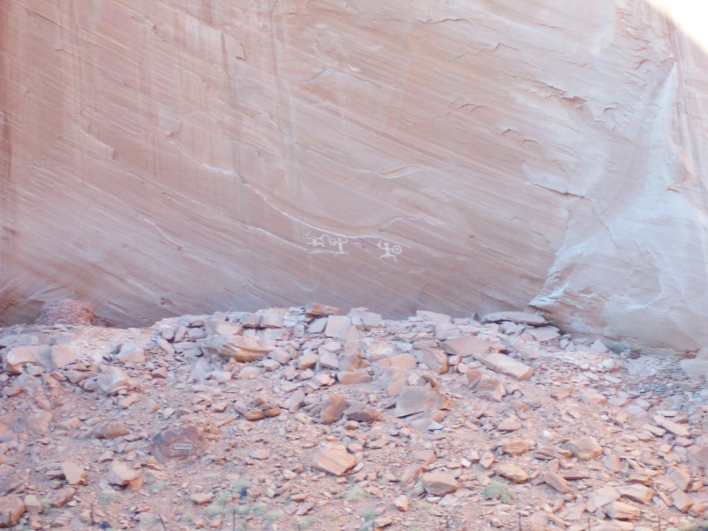 Defiance House Ruins and Petroglyths in Forgotten Canyon. Photo taken from where C-Swell is beached Monday afternoon 9/26/11.