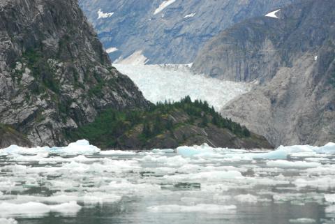 Dense Berge-bits from Le Conte Glacier
