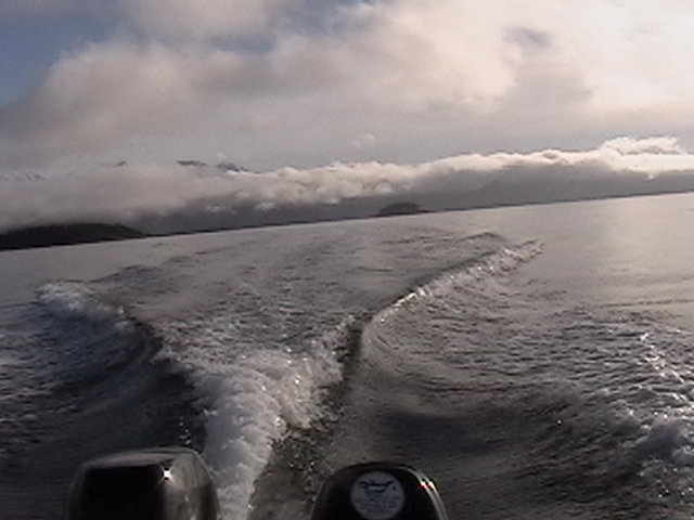 Departing Gull & Bird Island in Lynn Canal
