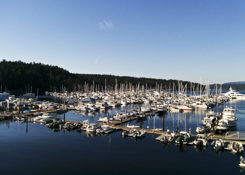 Desert Dory at Friday Harbor