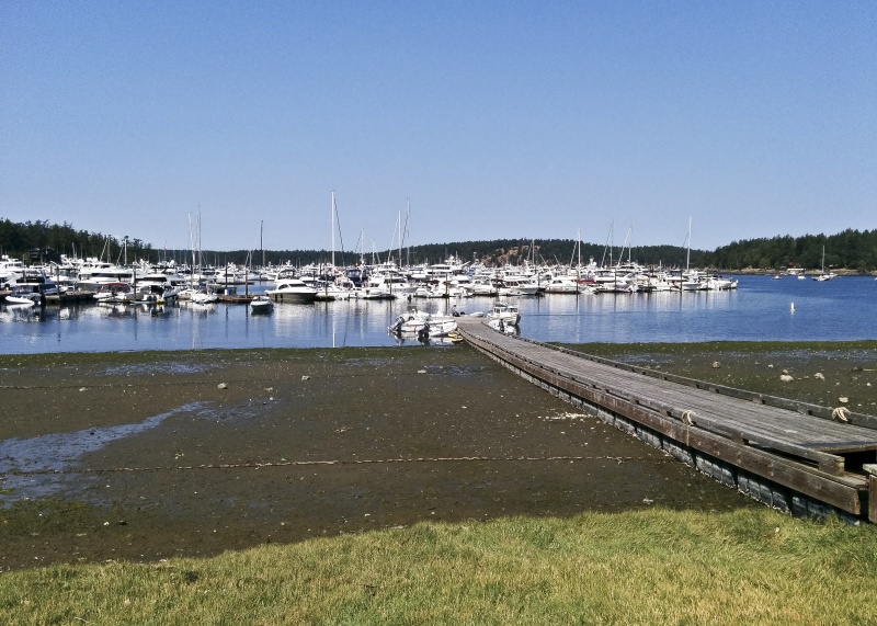 Desert Dory tied up at the dingy dock