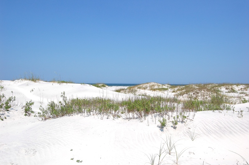 Deserted Beach