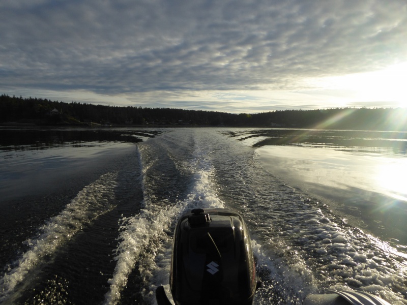 Dinghy cruising around Turn Island