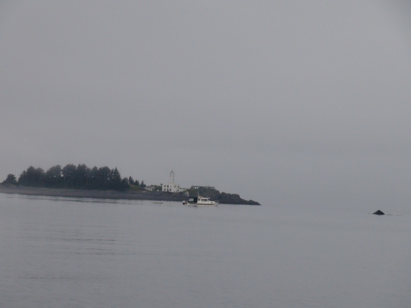 Discovery & whale in front of Five fingered Island lighthouse.  At least 30 humpbacks around us there
