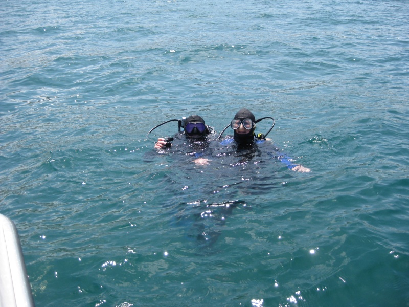 Dive, Blacks Reef