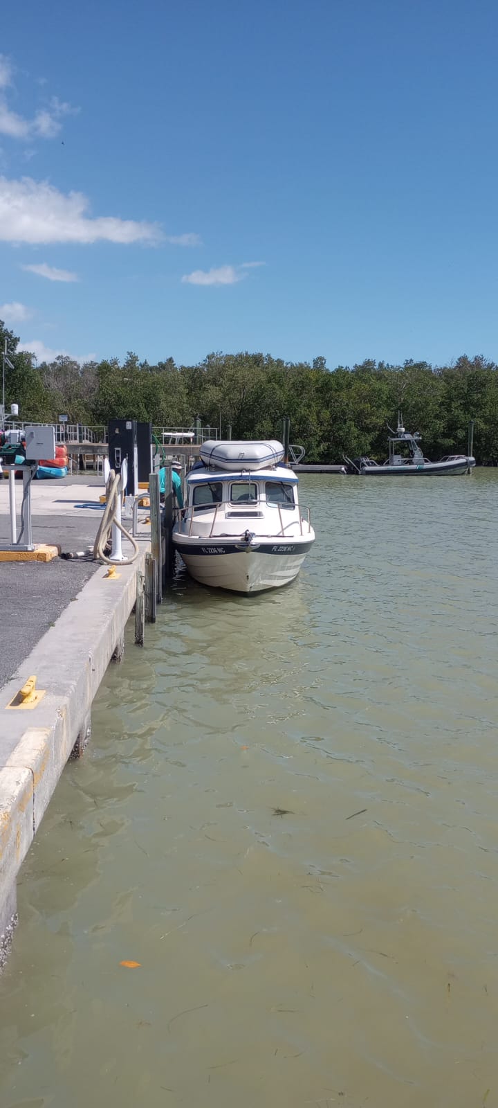 Dock st flamingo