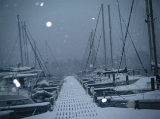 Docks at Point Marina-Snow-22JAN11