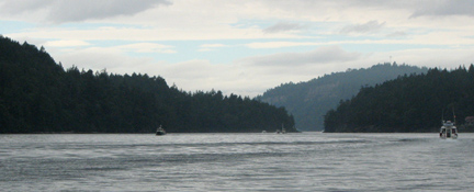 Dodd Narrows