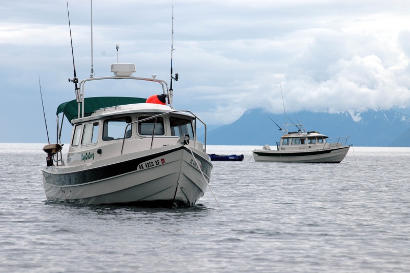 DogOnDory and Bidarka in Bass Harbor
