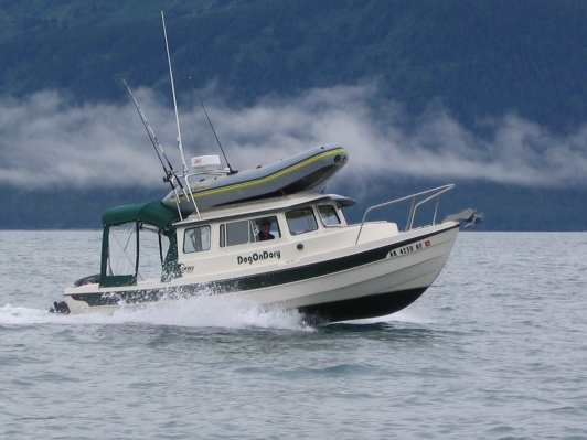 DogOnDory in Valdez Arm