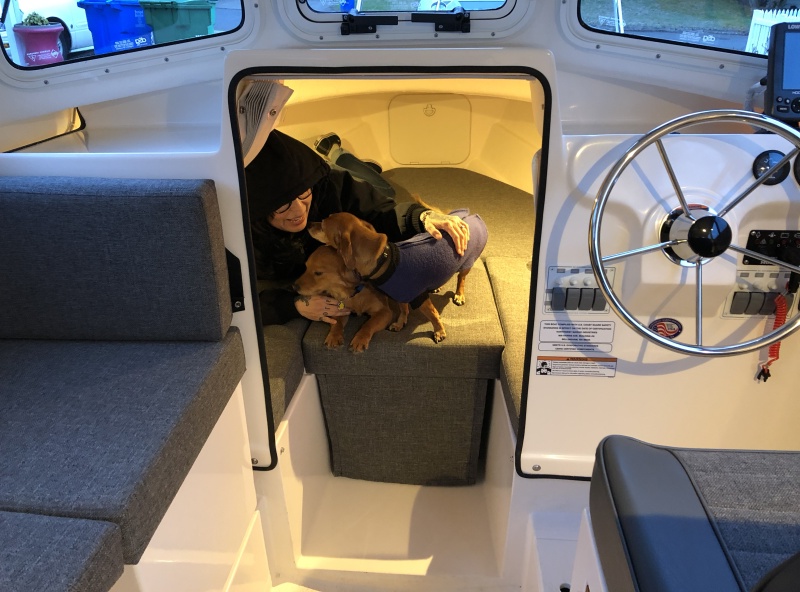 Dogs first time in berth.