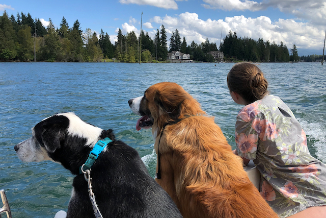Dogs with one of their girls