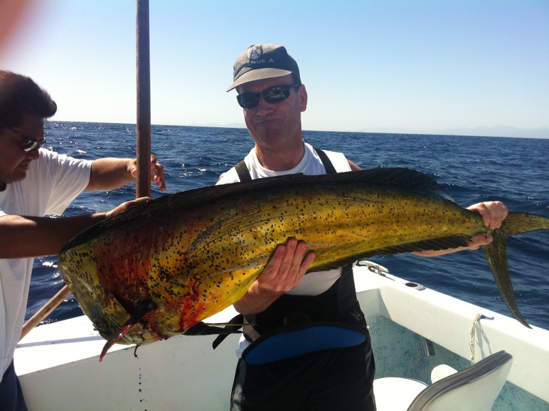 Dorado Sea of Cortez