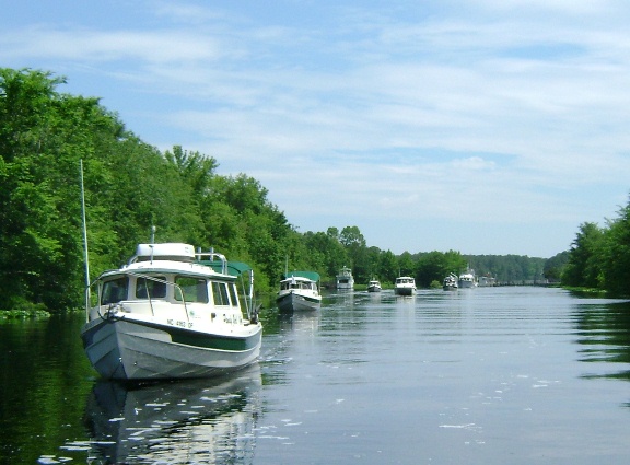 Dories in the swamp