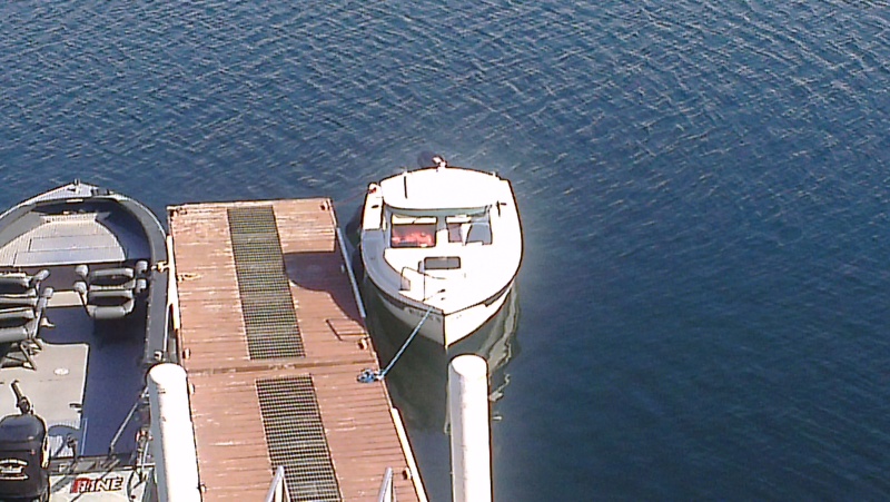 dory at rest