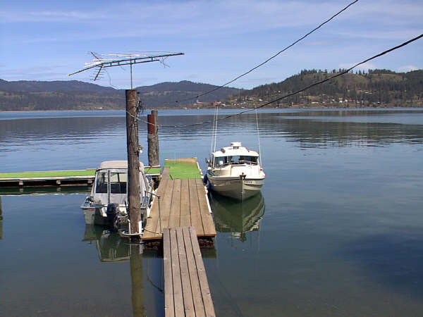 dory1front.jpg