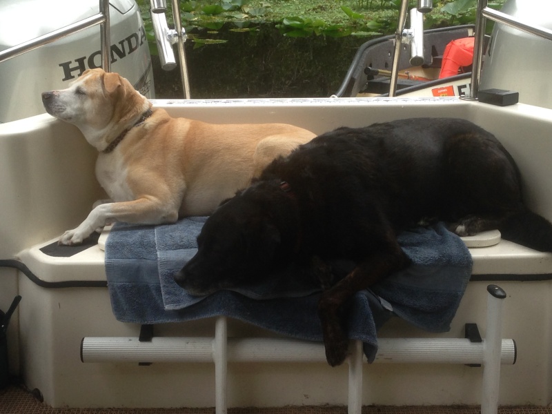 Down time after lots of exploring.