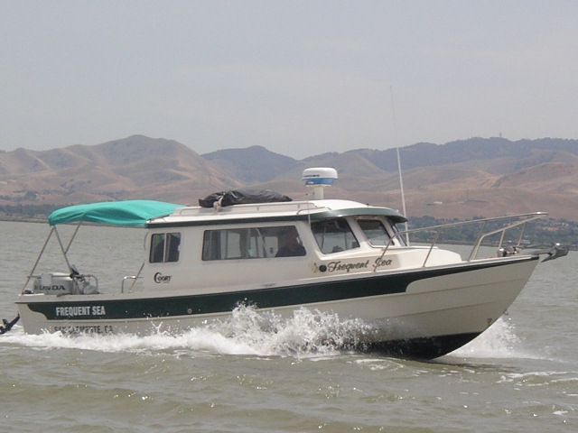 Dr. Bob in Frequent Sea