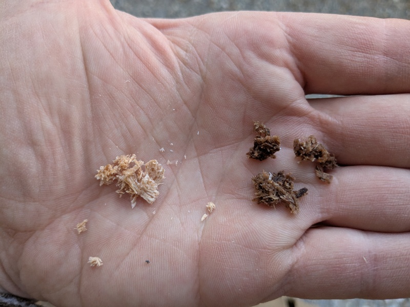 Drillbit shavings from exploratory holes down into the transom from the top. Wet, rotten balsa core from upper 2" below the transom cap (right) and dry balsa from ~3" below the transom cap (left).