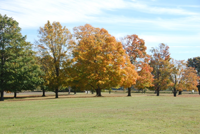 DSC 0008