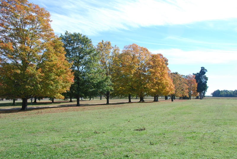 DSC 0011
