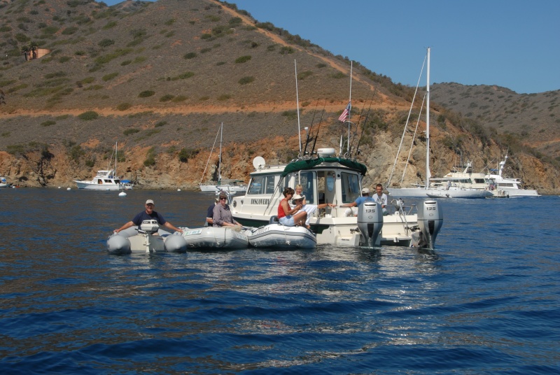 DSC 0081
