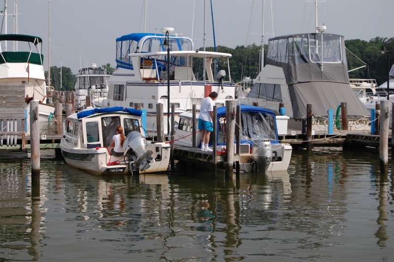 DSC 4237 B