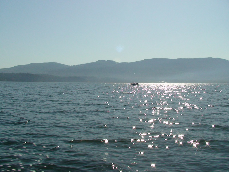 DSC00004