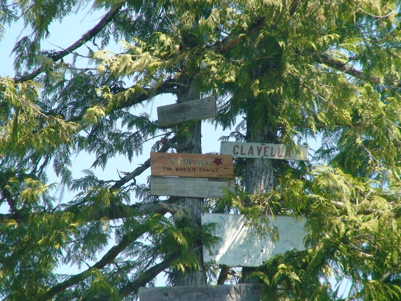 DSC00212