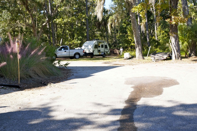 DSC1351