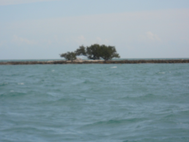 DSCN0099