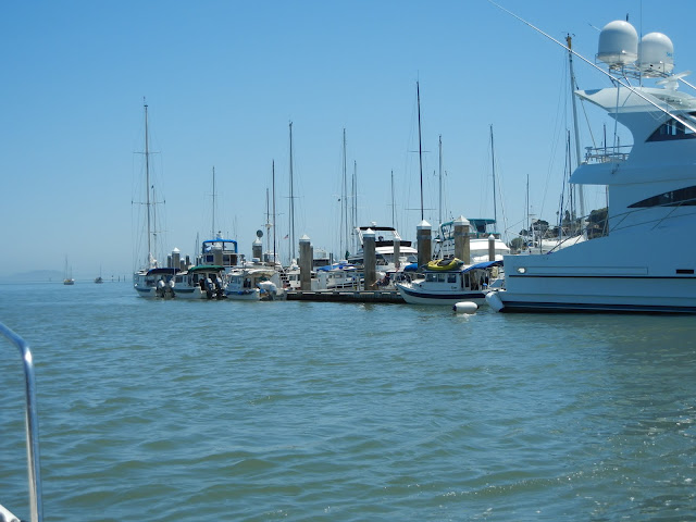 DSCN0316