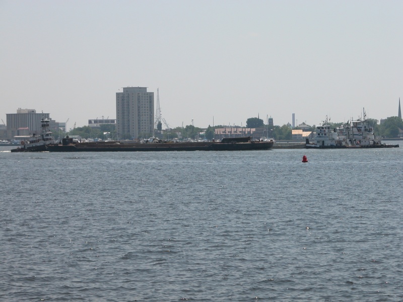 DSCN0368