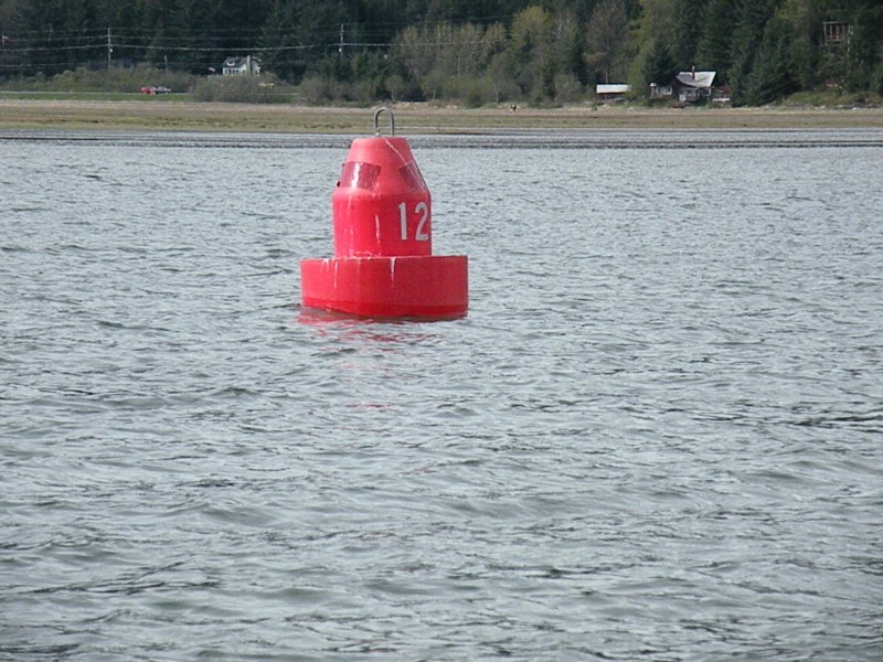 DSCN0955