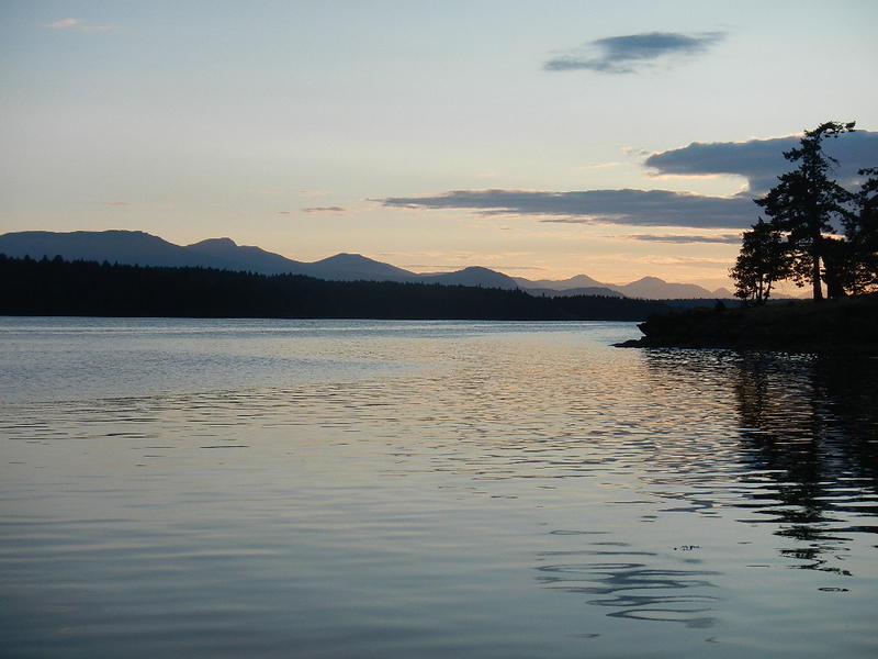 DSCN1400