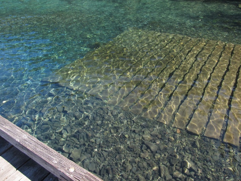 Due to the very clear water, it's easy to see.