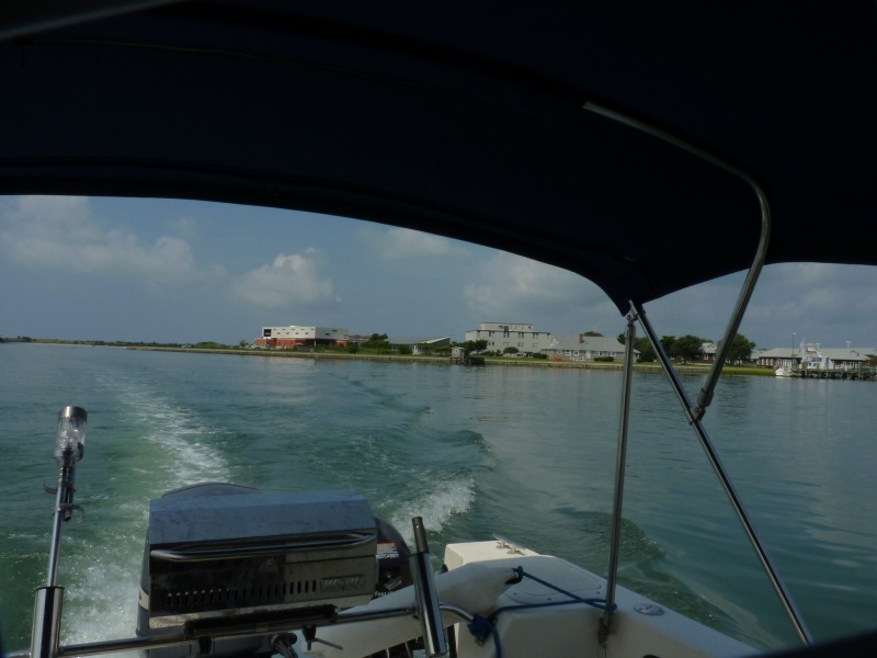 Duke Marine research lab Beaufort NC