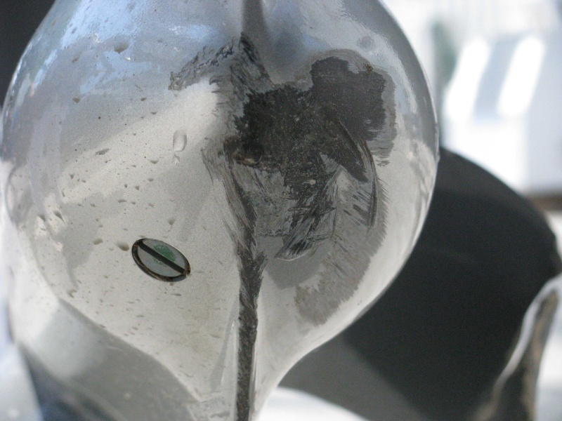 e lower unit damage Honda BF115