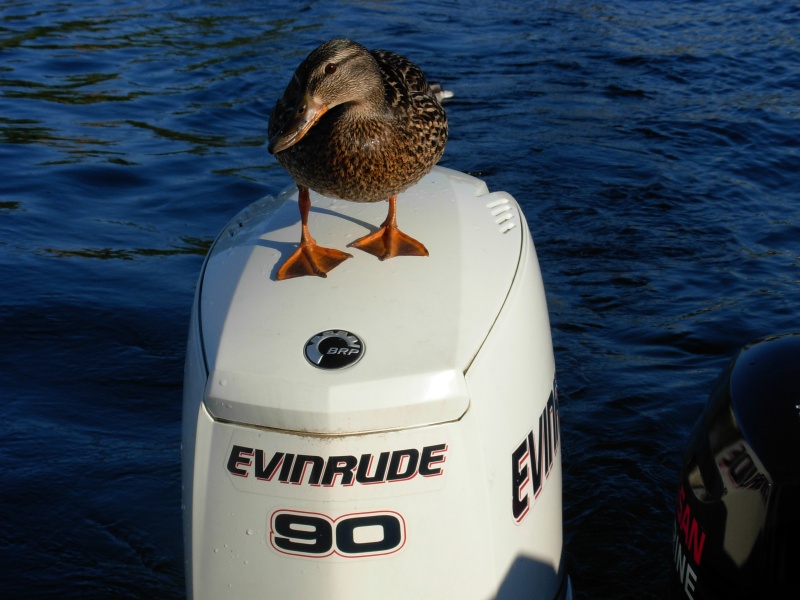 E-Tec checked out